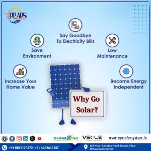 How Solar Energy Supports Biodiversity and Ecosystem Conservation